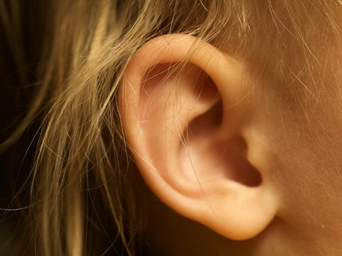 ear