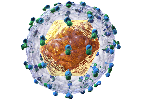 Hep C