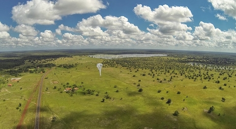 Loon Loon balloon