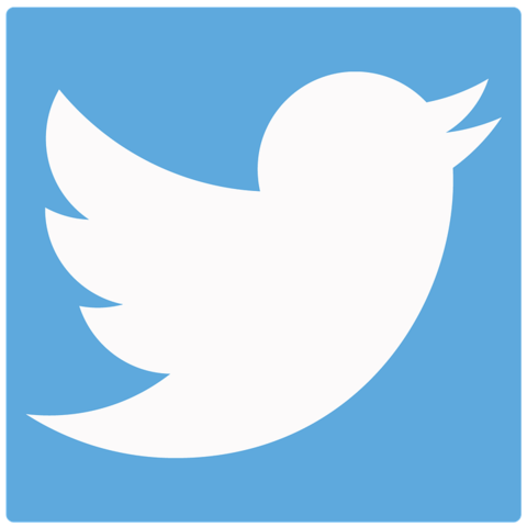 Twitter bird Twitter bird