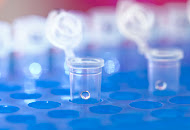 Drug vials Drug vials
