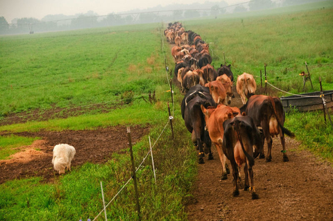 Farming Farming