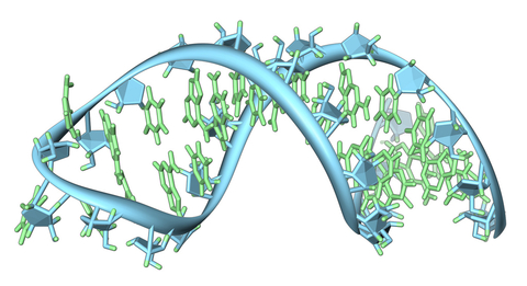 RNA RNA