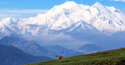 Alaska Denali - Mt. McKinley pixabay Denali, Alaska