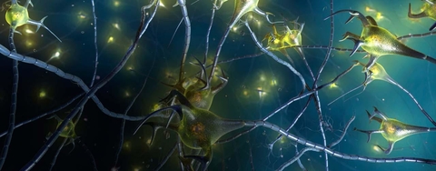 multiple sclerosis multiple sclerosis
