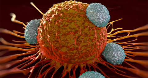 Checkpoint Inhibitor Checkpoint Inhibitor