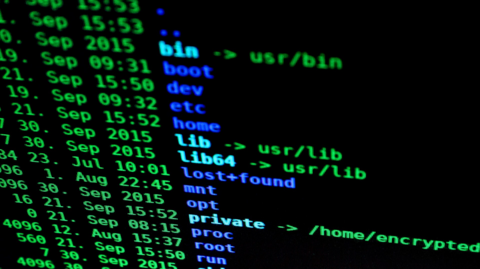 Coding hacking computer language code - 800 px (Pixabay) Image: Pixabay
