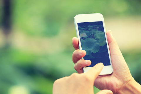 Smartphone Taking a photo with a smartphone