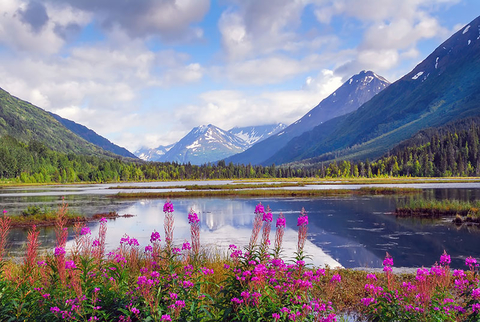 Alaska Credit flownaksala iStock Getty Images Plus Getty Images Alaska
