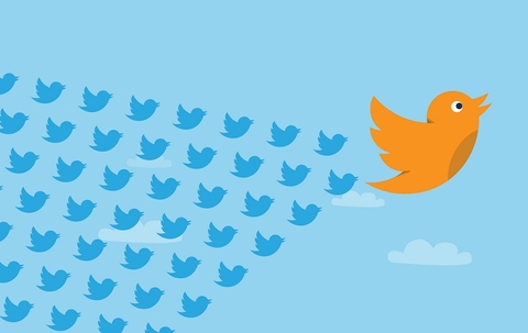 Twitter birds (Alan O'Rourke/CC BY 2.0) Twitter birds