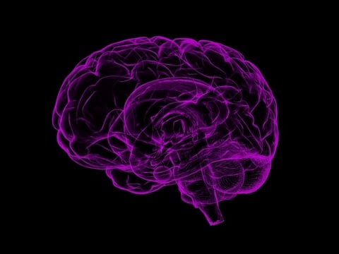 purple brain illustration on black background