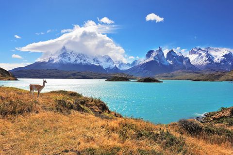 Patagonia Credit kavram iStock Getty Images Plus Getty Images Patagonia