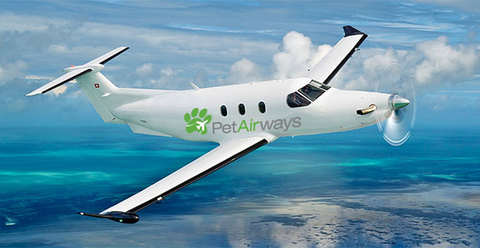 Pet Airways Pet Airways