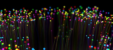 fiber fiber (pixabay)