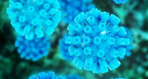 Hepatitis C virus Hepatitis C virus