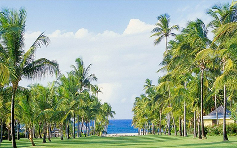 Nisbet Plantation Beach Club Nisbet Plantation Beach Club