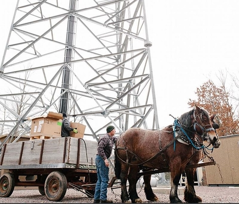 horses (US Cellular) horses tower