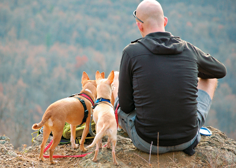 Travel with pets Advise clients traveling with their dog(s) to ask hotel staff for the location of nearby parks and such.