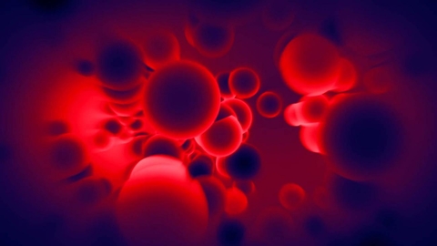 Blood Blood