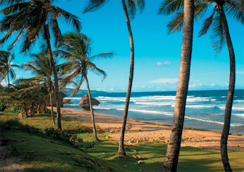 Barbados Barbados