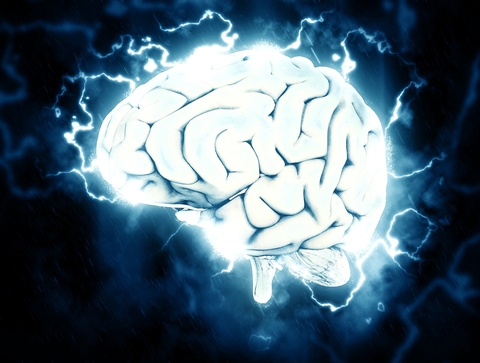Brain brain