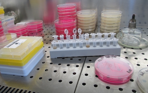 Microbiology lab Microbiology lab