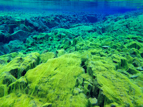 Silfra Iceland // Photo by Lindsay Lou/iStock/Getty Images Plus/Getty Images Underwater view of the continental split at Silfra in Iceland
