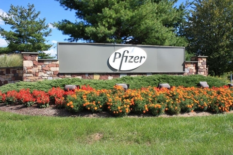 pfizer pfizer