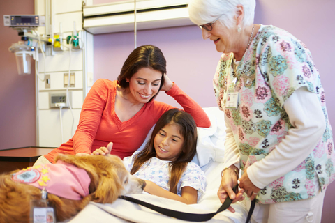 Therapy dog Therapy dog, patient and nurse