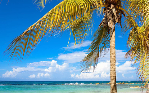 National Relaxation Day Melia Braco Village