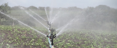 irrigation irrigation (Pixabay)