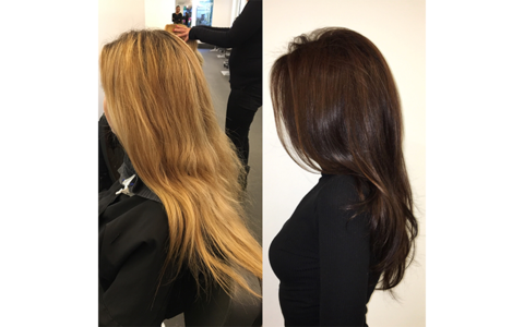 Transformation Tuesday Bleached Blonde To Glossy Brunette American Salon