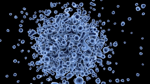 Virus virus cell