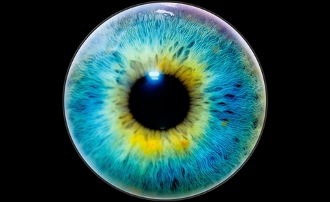 Eye Eye