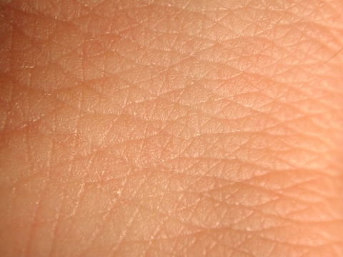 skin skin close-up