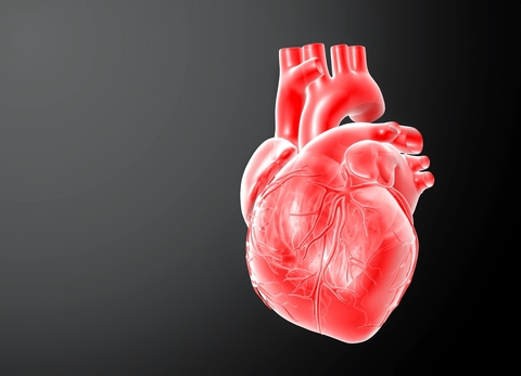 Heart 1 Heart 1