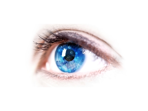 KalVista Eye Image KalVista Eye Image