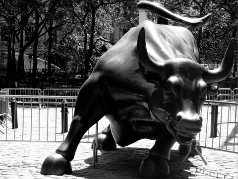 Wall Street bull Wall Street bull