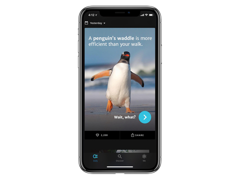 Penguin app
