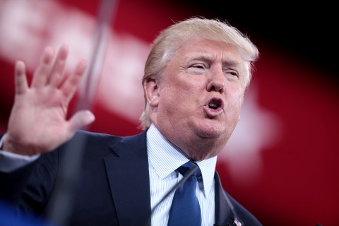 Trump With Hand Raised Trump With Hand Raised