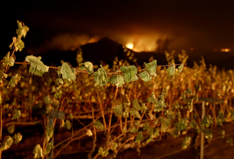 California wildfires // AP Photo/Jeff Chiu via Newscred California wildfires