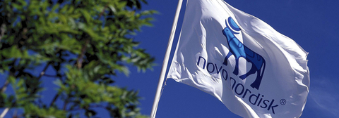 Novo Nordisk flag Novo Nordisk flag