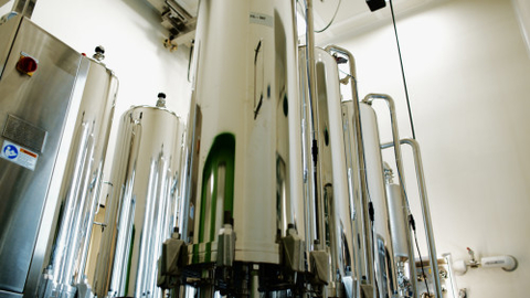 Sanofi Geel, Belgium plant Sanofi Geel, Belgium plant