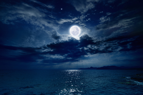 moon moon