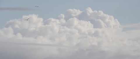 cloud cloud