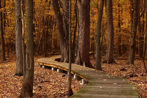 autumn autumn (Pixabay)