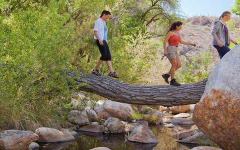 Canyon Ranch Canyon Ranch