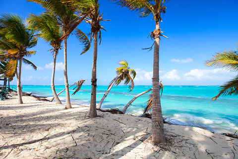 Shoal Bay Anguilla Getty Palm trees on Shoal Bay beach in Anguilla