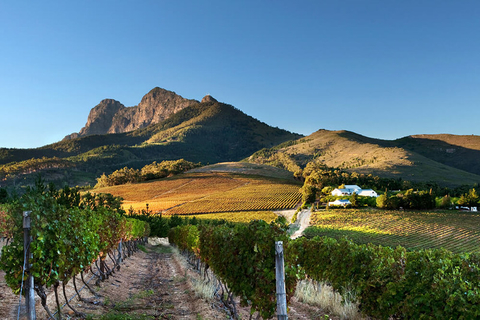 South Africa South Africa