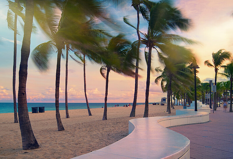 Palm Beach, Florida // Photo by ddmitr/iStock/Getty Images Plus/Getty Images Palm trees in the wind on the beach